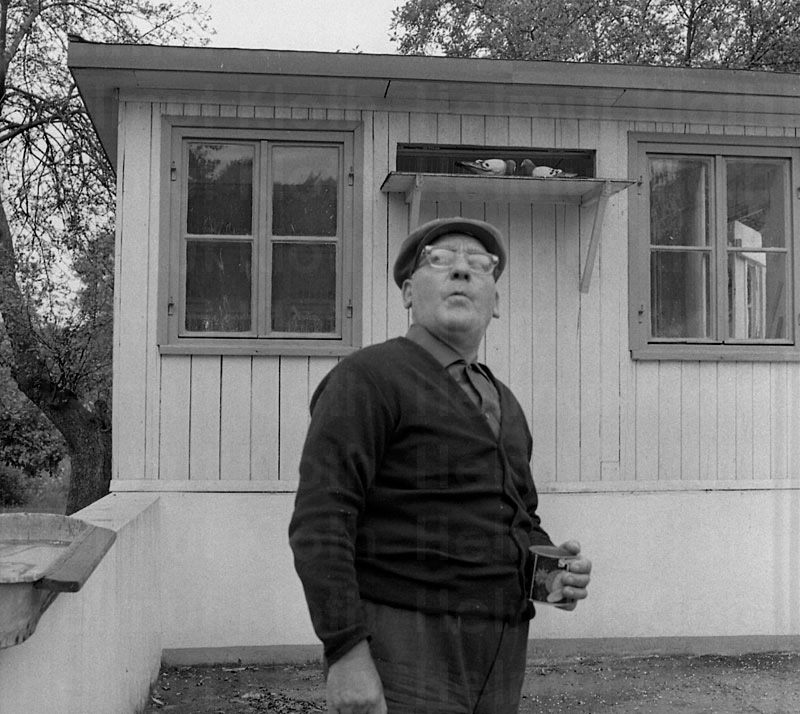 &copy; Helmut Kloth: Pixelprojekt